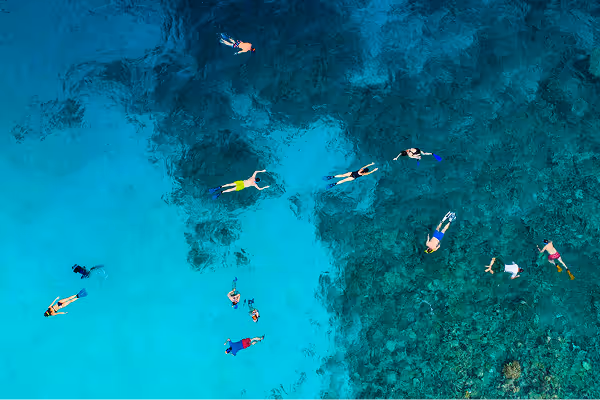 A group of snorkelers in the water that made an online booking using diversdesk